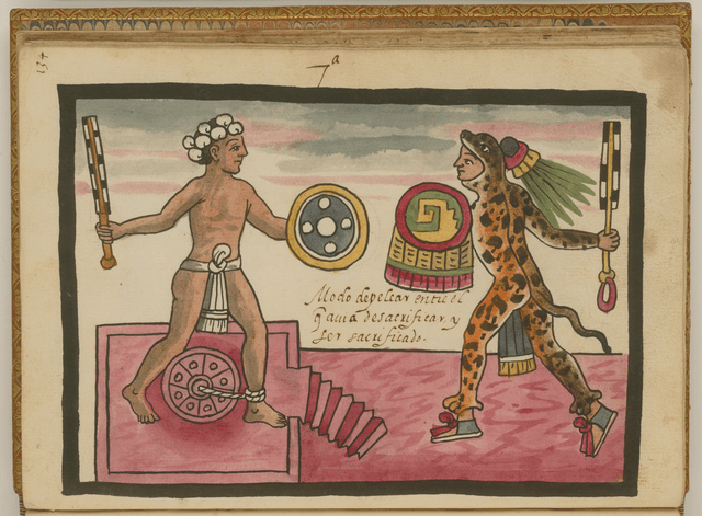 An Aztec jaguar warrior engaging in ritual sacrifice