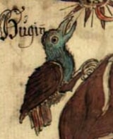Image Huginn from the Poetic Edda